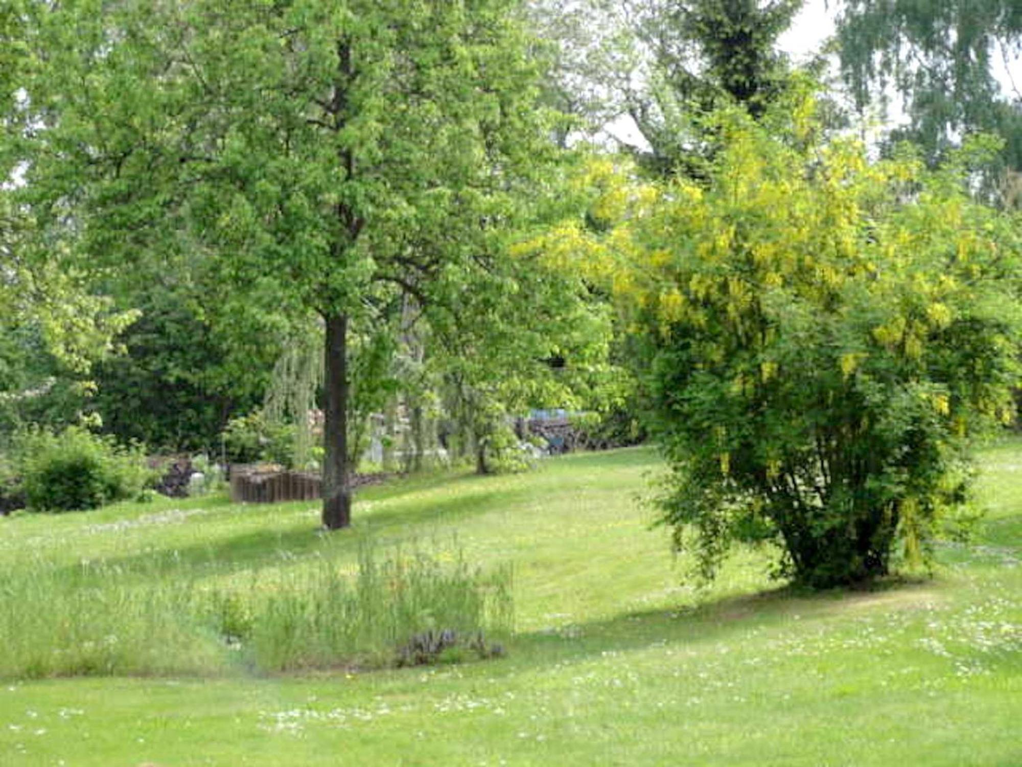 Reetdachhaus 